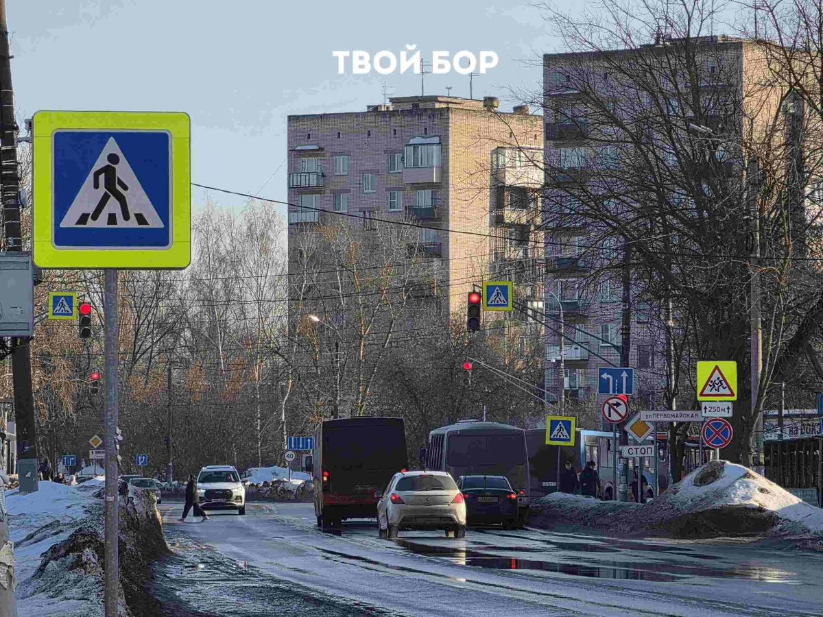 Всем бы такую продуктивность, как у этой весны на Бору!