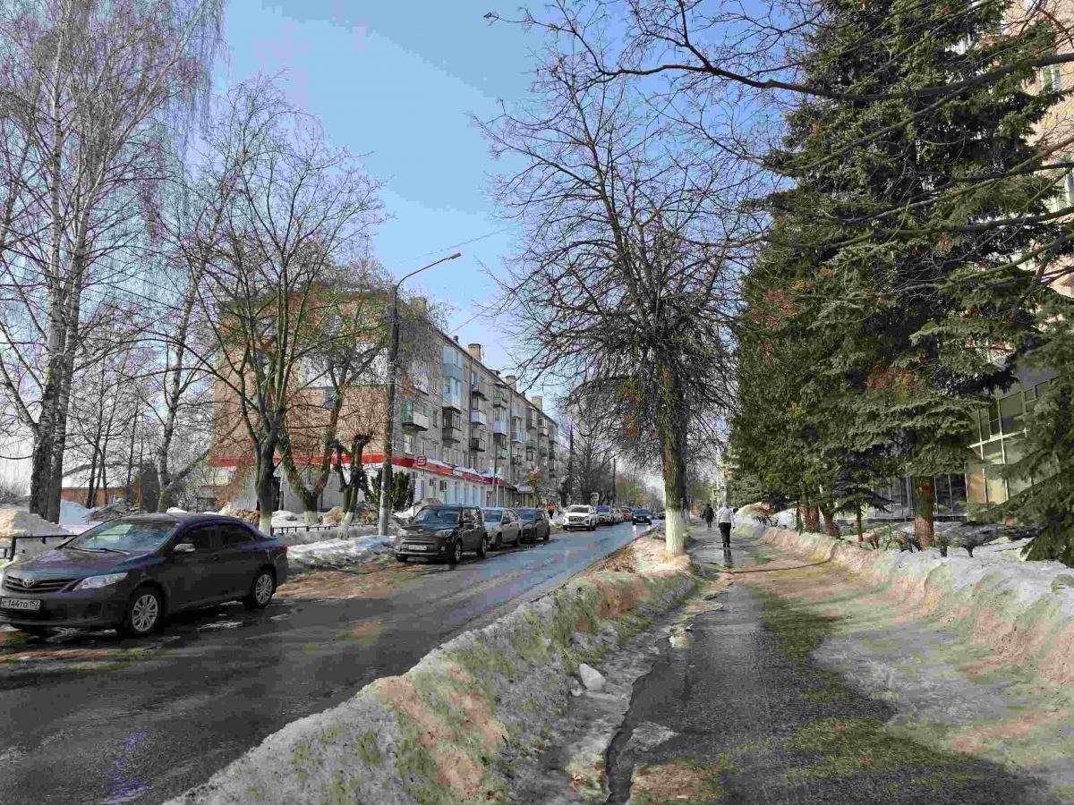 Борчанка оставила большой комментарий "Как выглядит мой идеальный день на улице Ленина?":