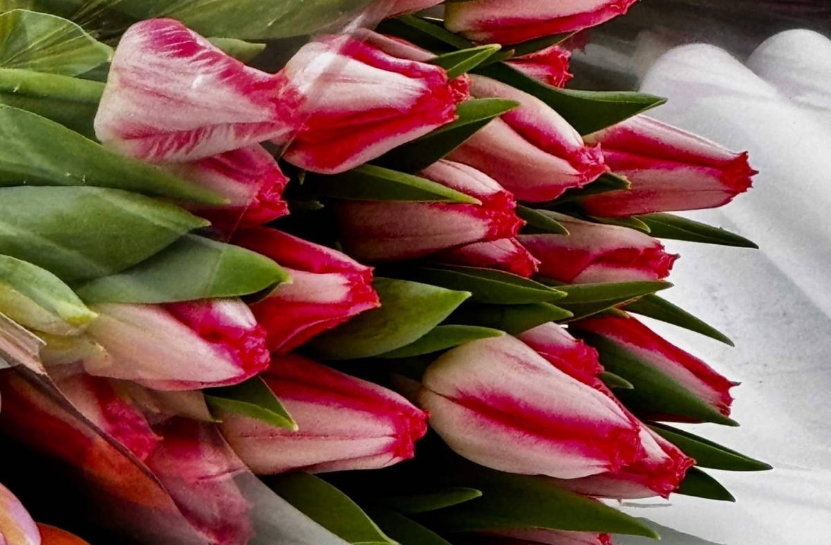 Сколько стоит букет на Бору перед 8 марта?