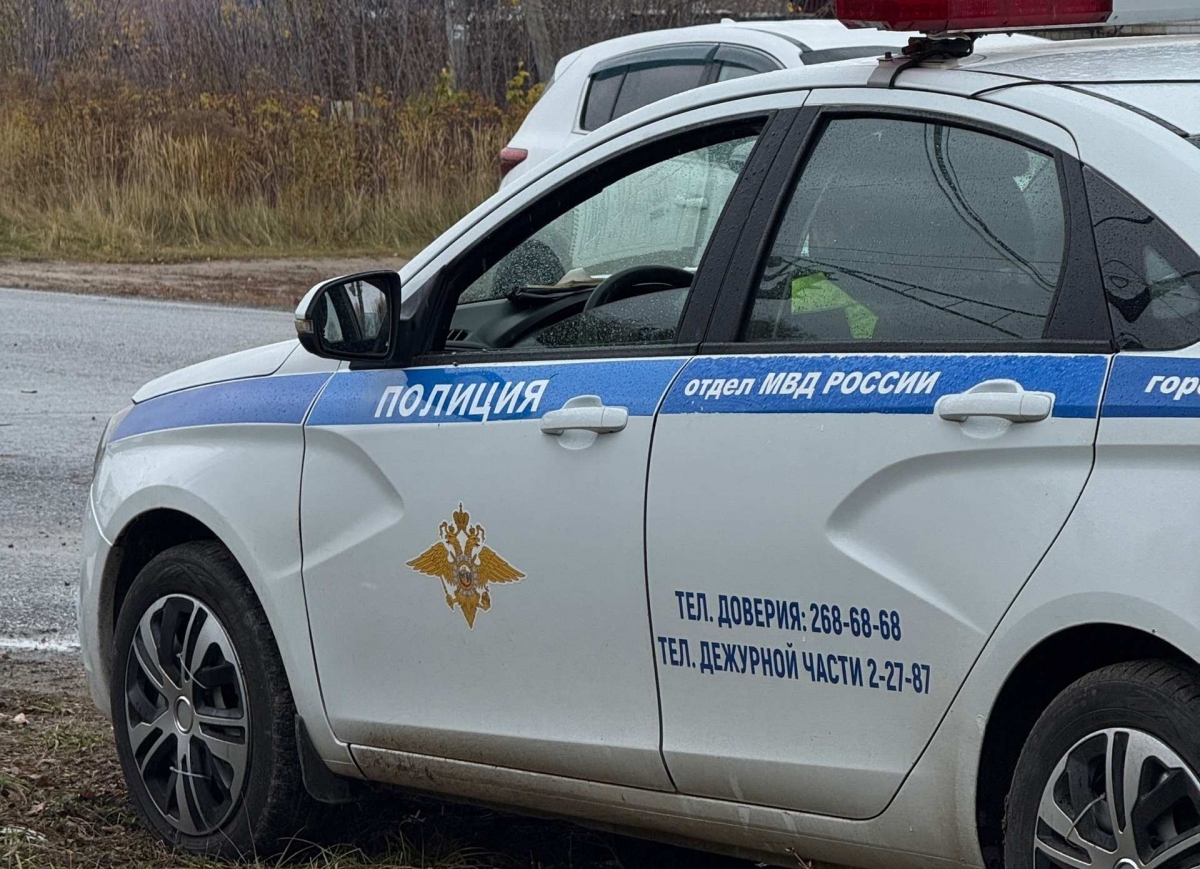 Борский отдел ГИБДД информирует: