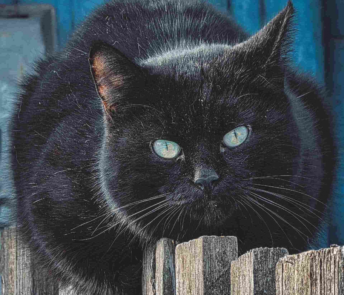 Что с погодой и сугробами?