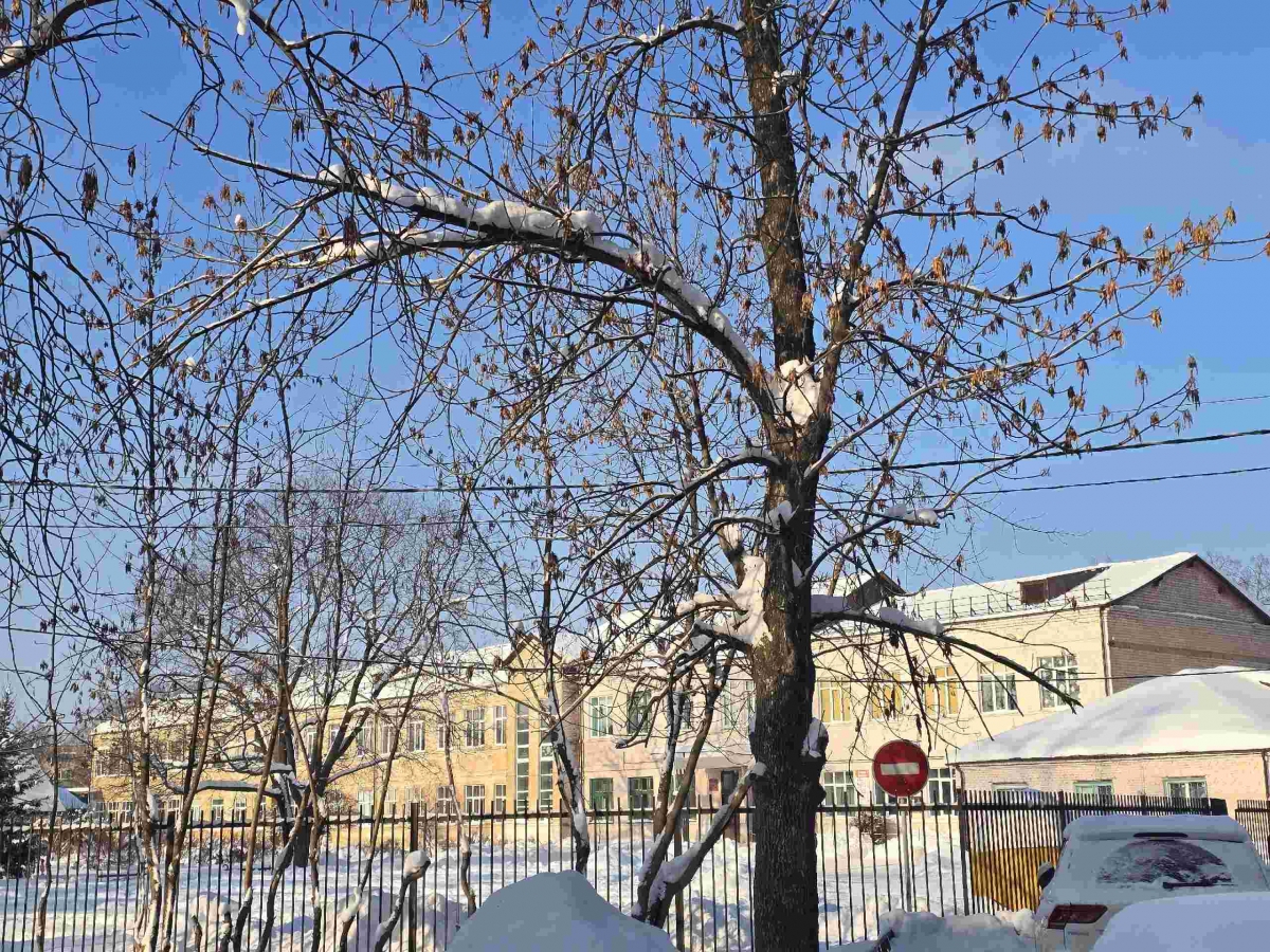 Новость для родителей школьников