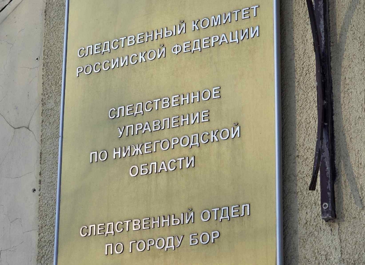 На Бору завершено расследование дела об убийстве