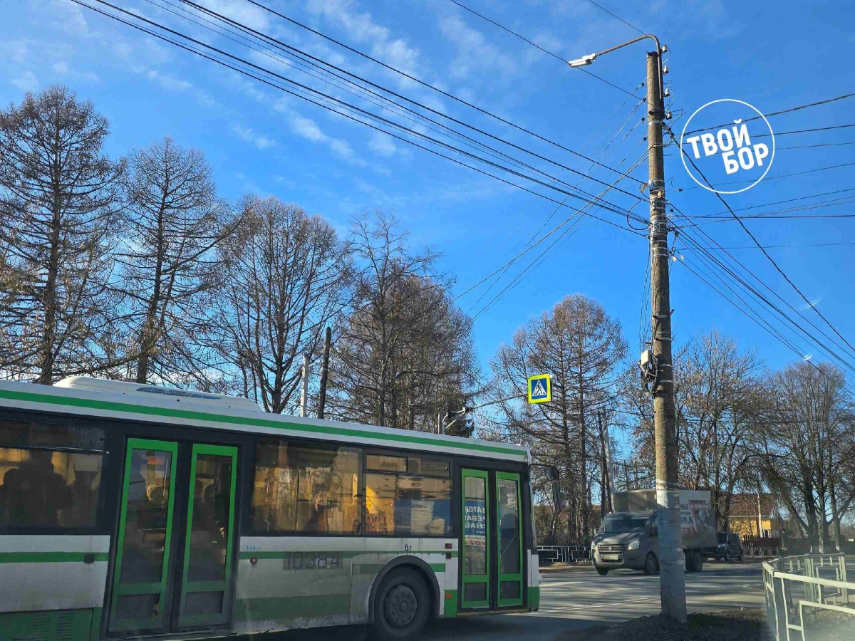 Почему в транспорте Нижнего Новгорода убирают оплату наличными?