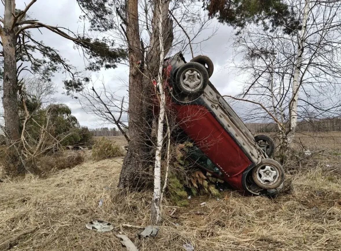 Автоледи попала в ДТП