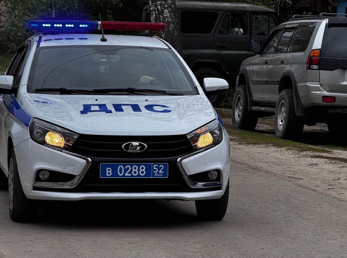 Житель Бора осужден за "целый букет" правонарушений