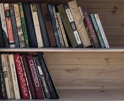 Живой книгообмен в парке «Семейный»