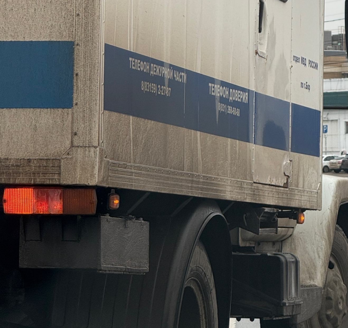 Житель Дзержинска обманул ювелиров, был эпизод и на Бору...
