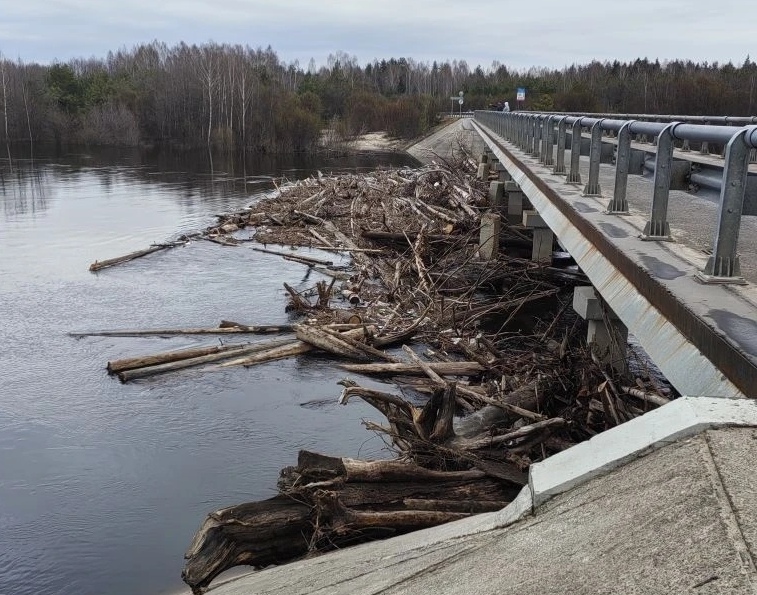 Мост на Рустай сейчас выглядит особенно эпично