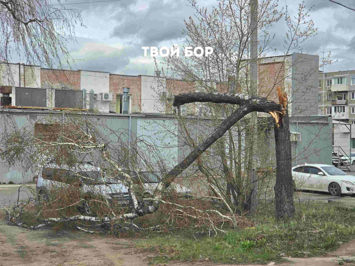 Экстренная информация РСЧС: