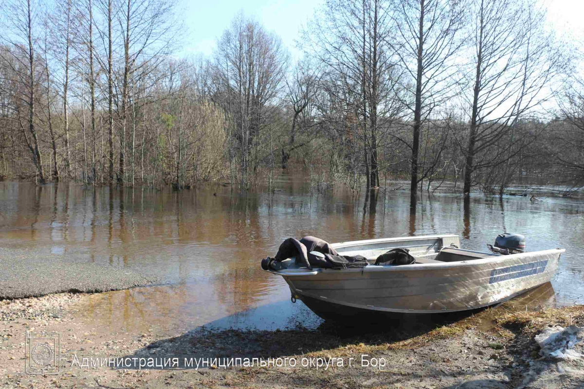 Пост от Борской администрации: