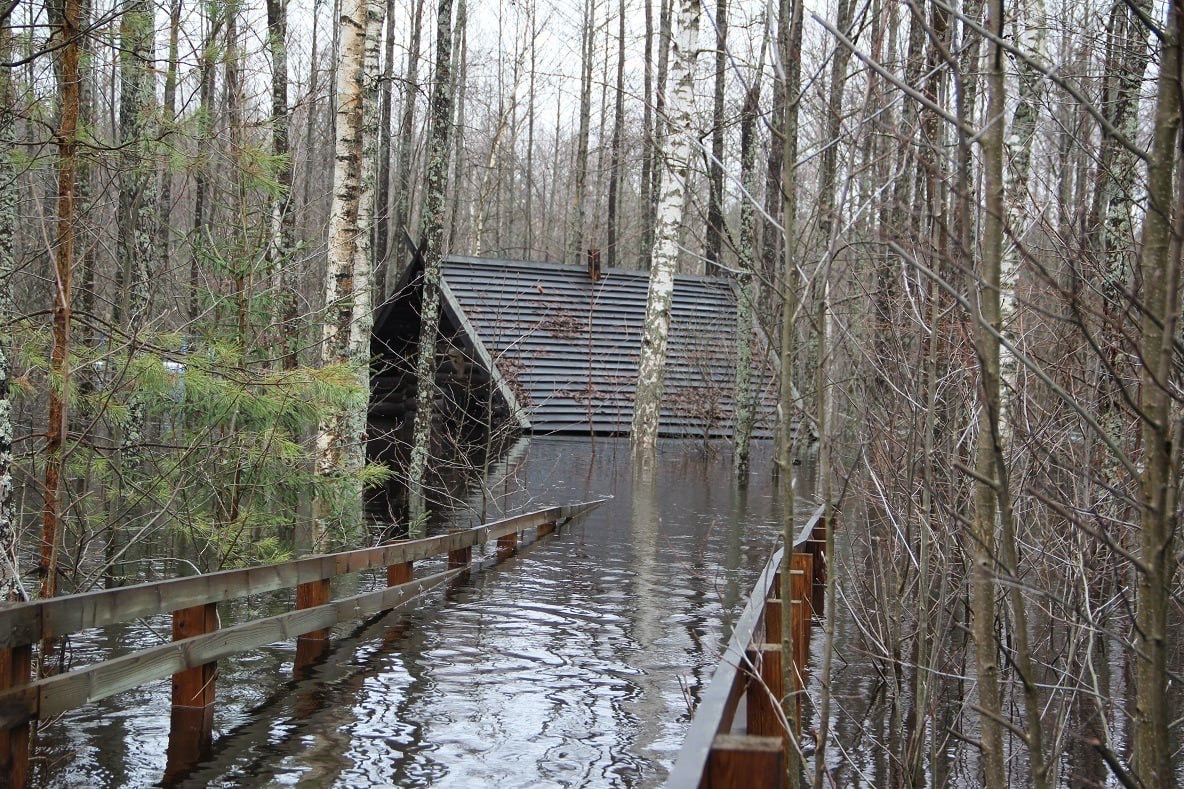 В Керженском заповеднике затопило избушку Бабы Яги