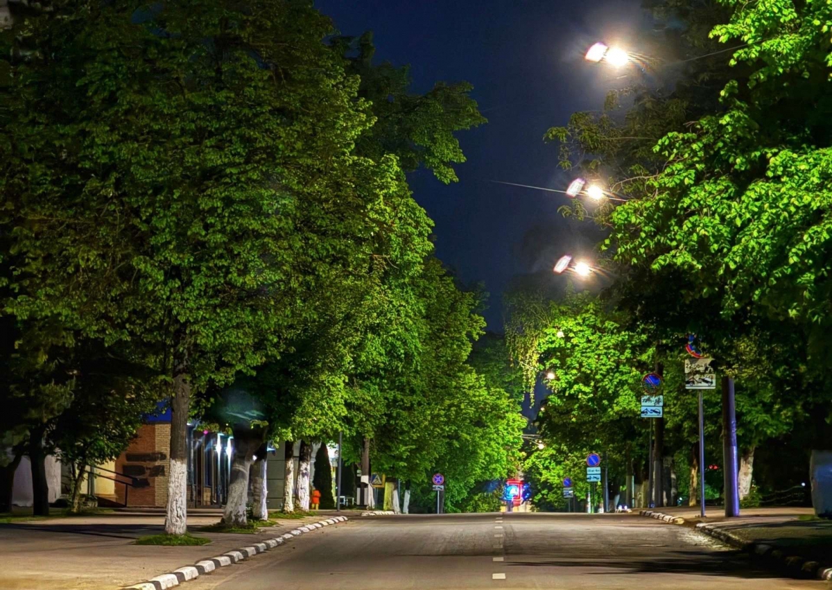 На Бору представили обновлённый проект благоустройства улицы Ленина