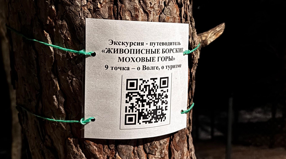 Если соберётесь прогуляться на Моховых горах, сделать это можно не только приятно, но и с пользой