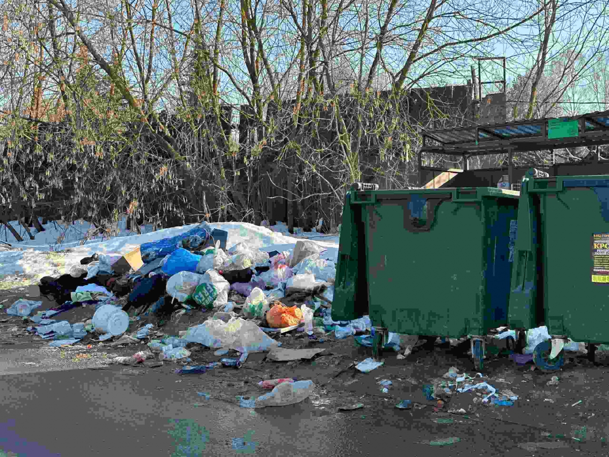 Региональный оператор по вывозу ТКО заявил об улучшении работы