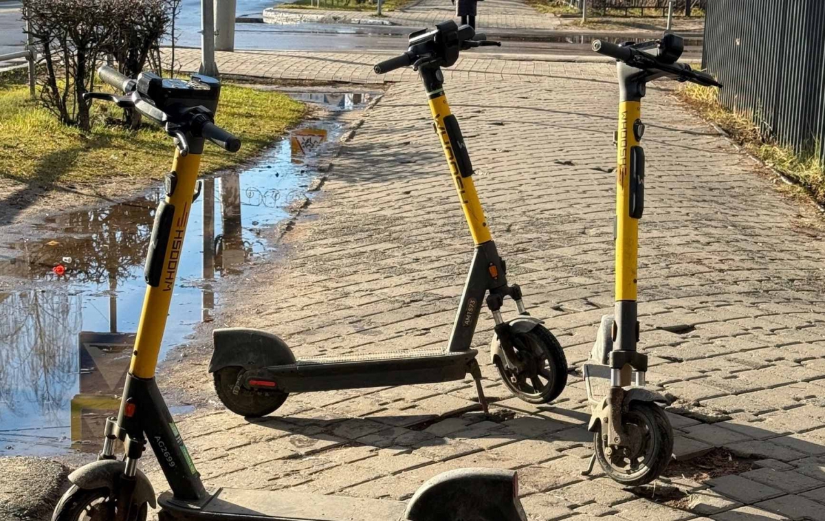 Скоро на Бору...