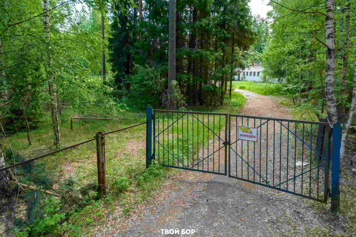 Школы 800 не будет на Бору