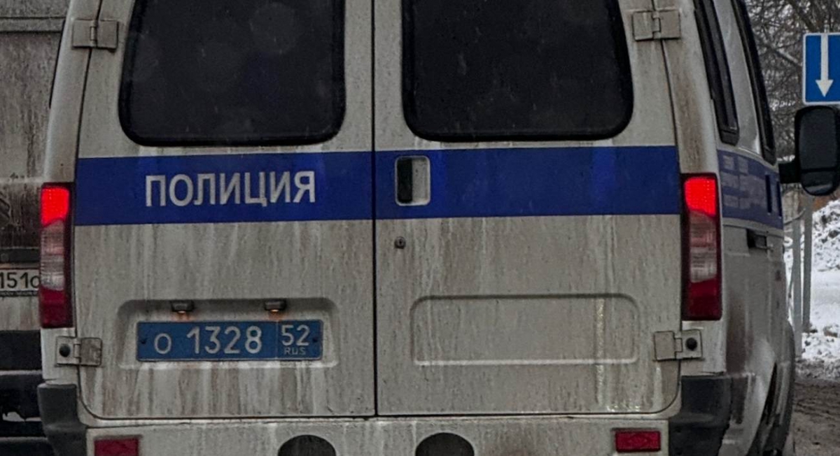 "Странную" борчанку задержали в Нижнем