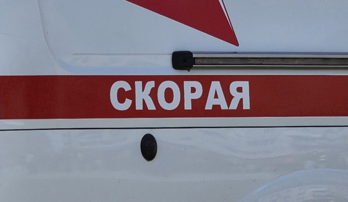 На Бору собака напала на девочку