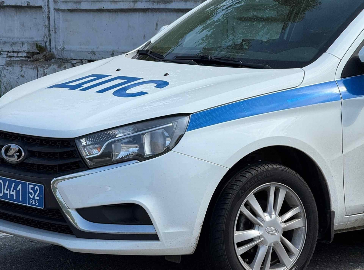 Пять потенциальных убийц задержали на борских дорогах