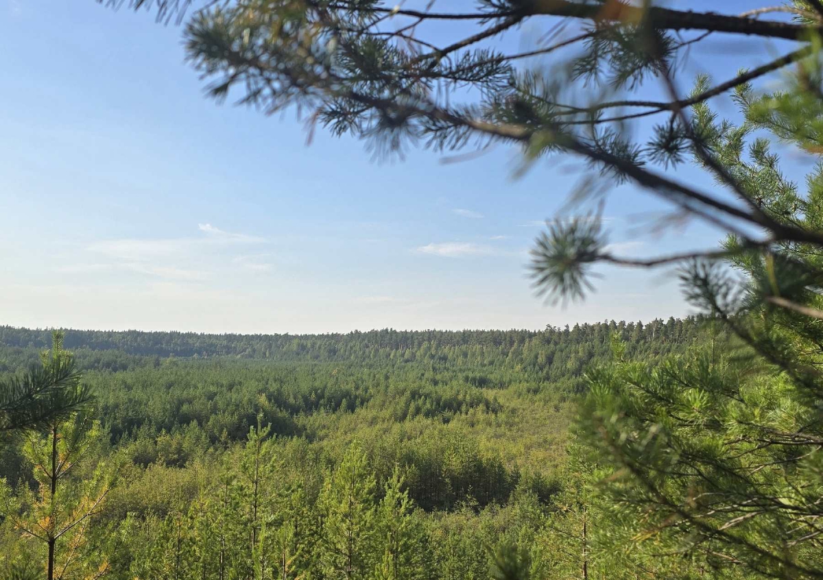 Очень крутая новость для нашего города!