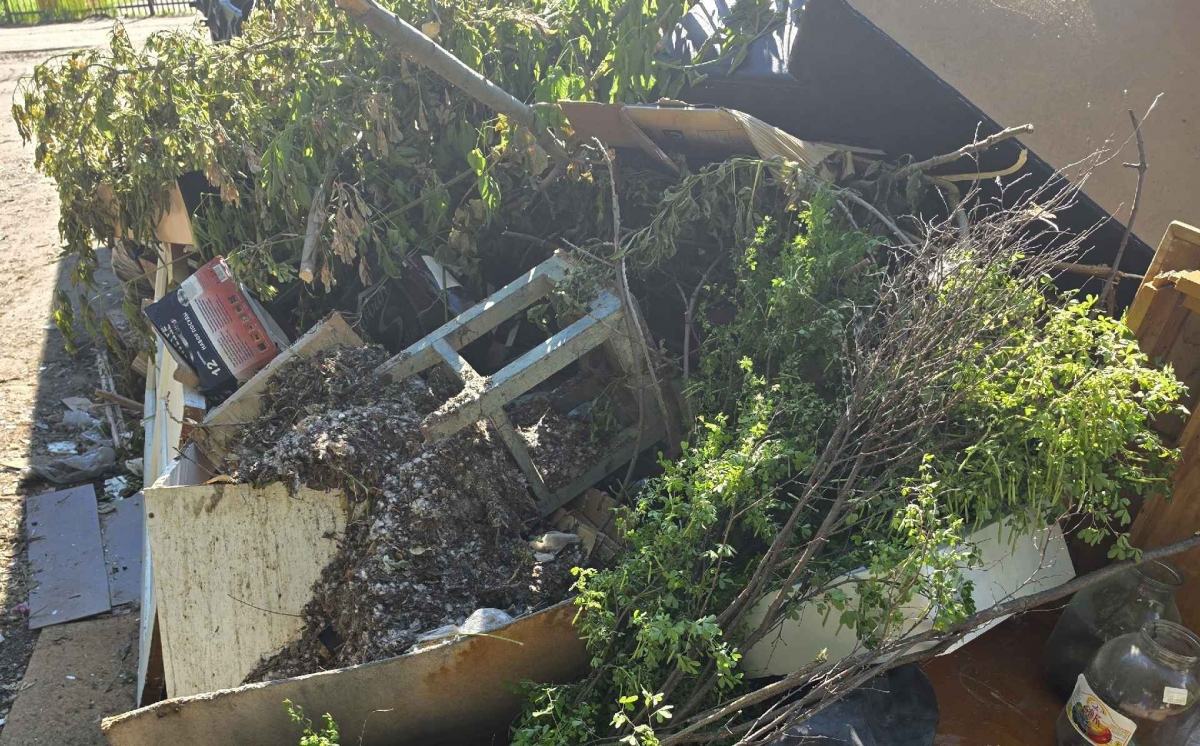 К вопросу веток на борских помойках