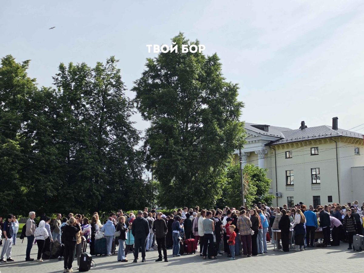 Первое утро лета на Бору выглядит так: