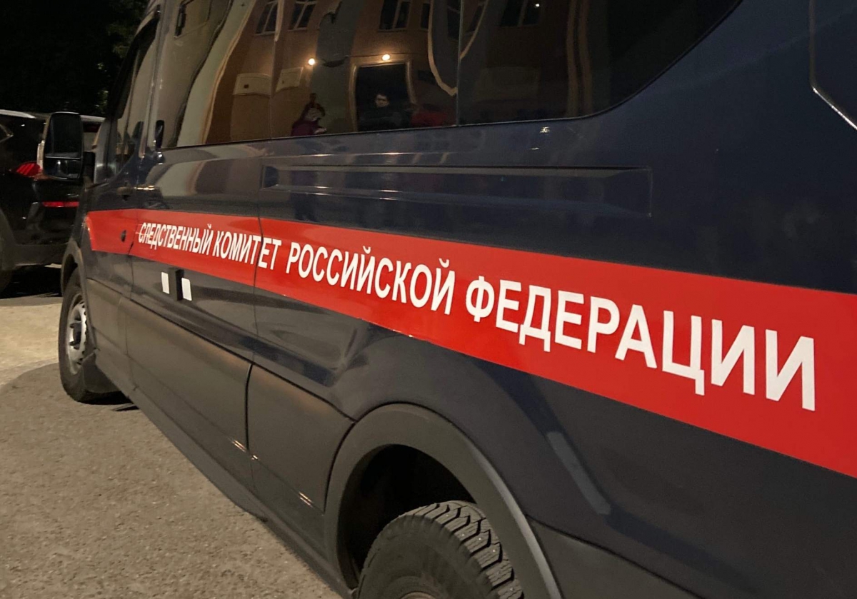 Следственный комитет РФ займётся состоянием дорог в Борской деревне