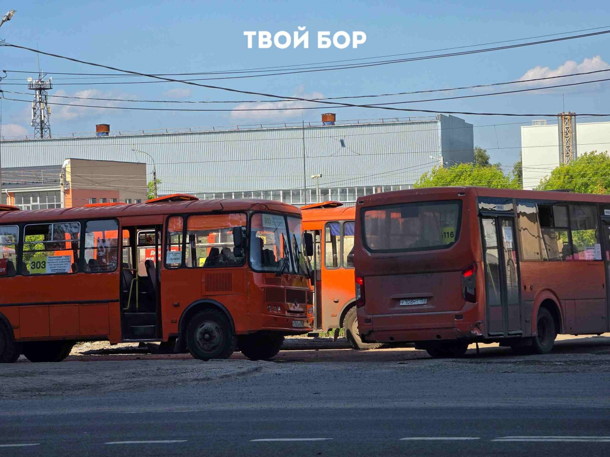 Автобусов до Нижнего будет больше!