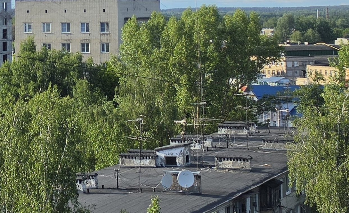 Светлые новости с сайта Госзакупок