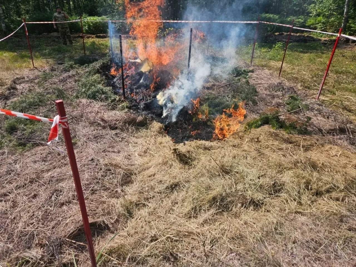 В Борском лесничестве испытали новое средство для борьбы с лесными пожарами