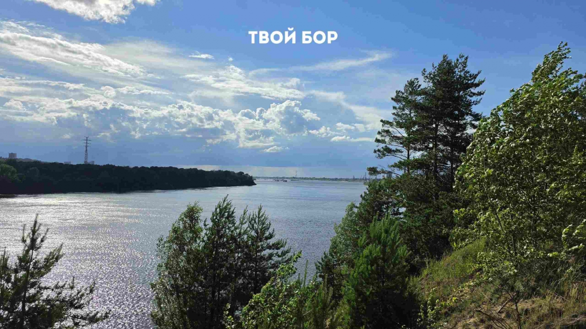 Кто-то посягнул на борское место силы...