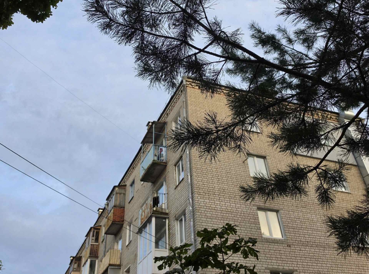 Борчане подсказали...