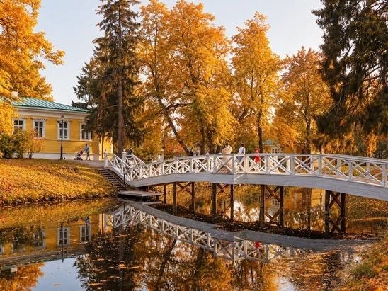 Где ловить золотую осень борчанам?
