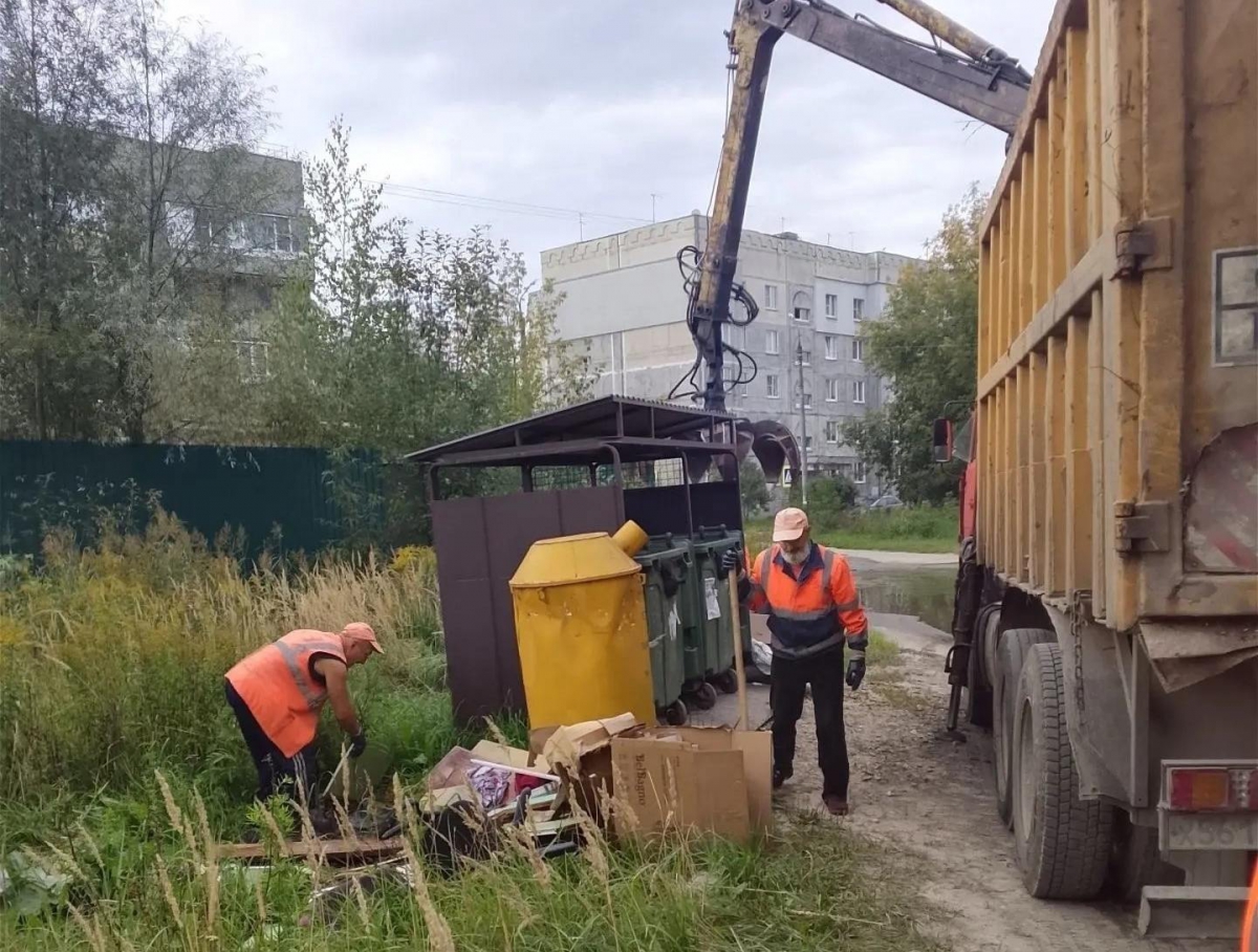 Куда выбрасывать старую мебель и другой крупногабаритный мусор в Борском округе?
