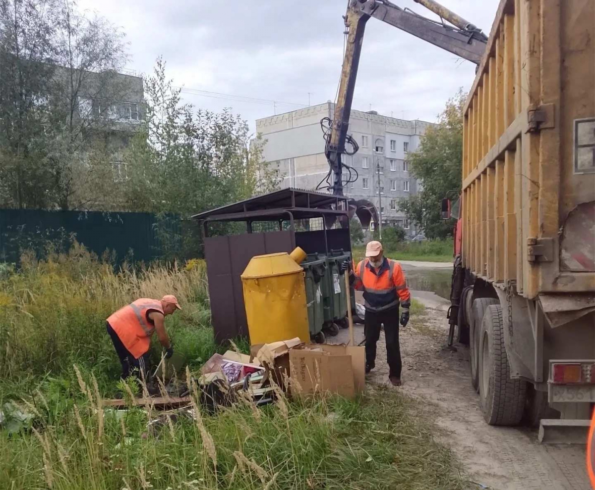 Все на субботник!