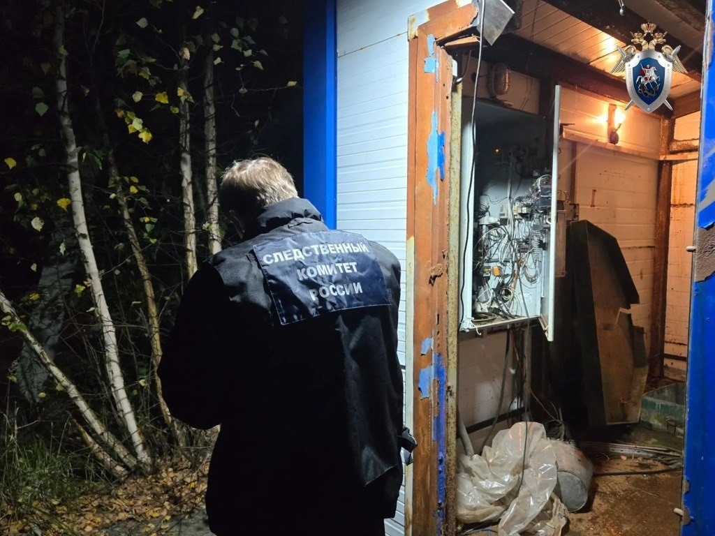 Следственный комитет Нижегородской области: