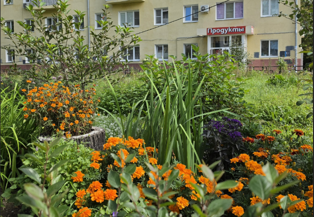 Первые осенние выходные на Бору будут прохладными и дождливыми