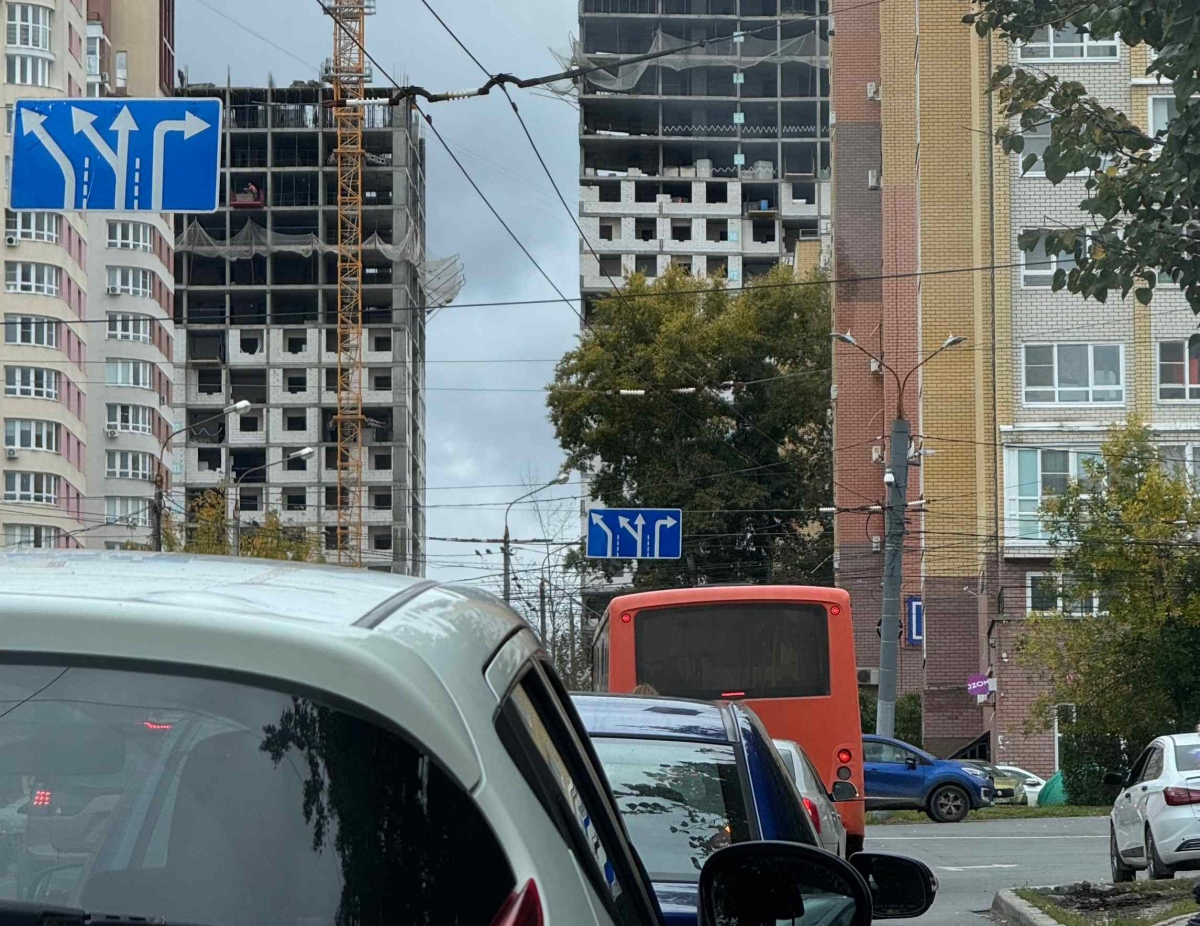 Борчанка и нижегородец задержаны за нападение на водителя трамвая