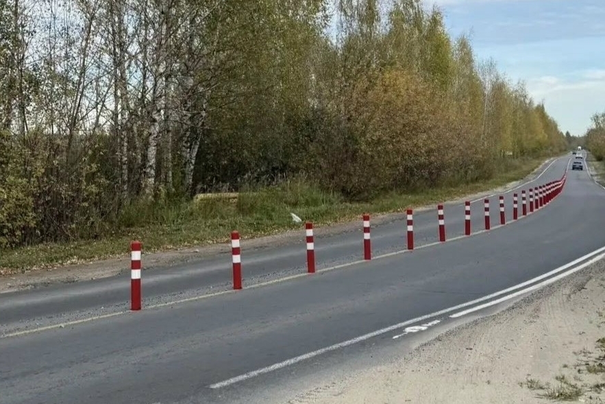 В Нижегородской области планируют установить более 7,5 тысячи сигнальных столбиков, в том числе на дорогах Борского округа