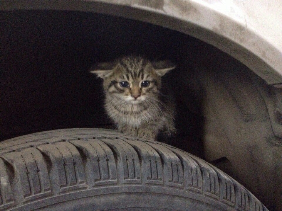 Уважаемые автомобилисты