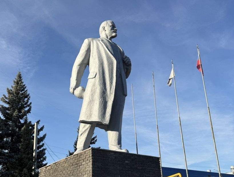 Борские парадоксы