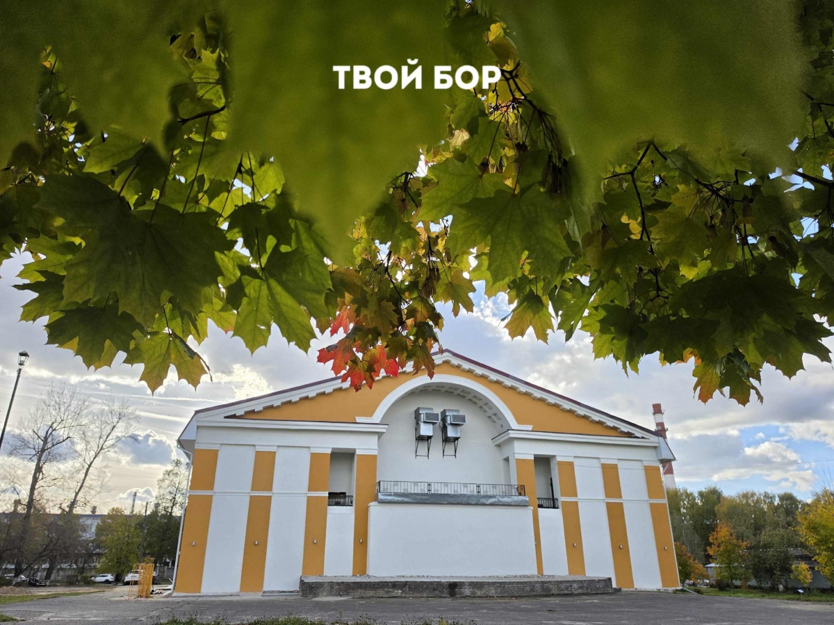 Борчан приглашают на праздник "Папа года"