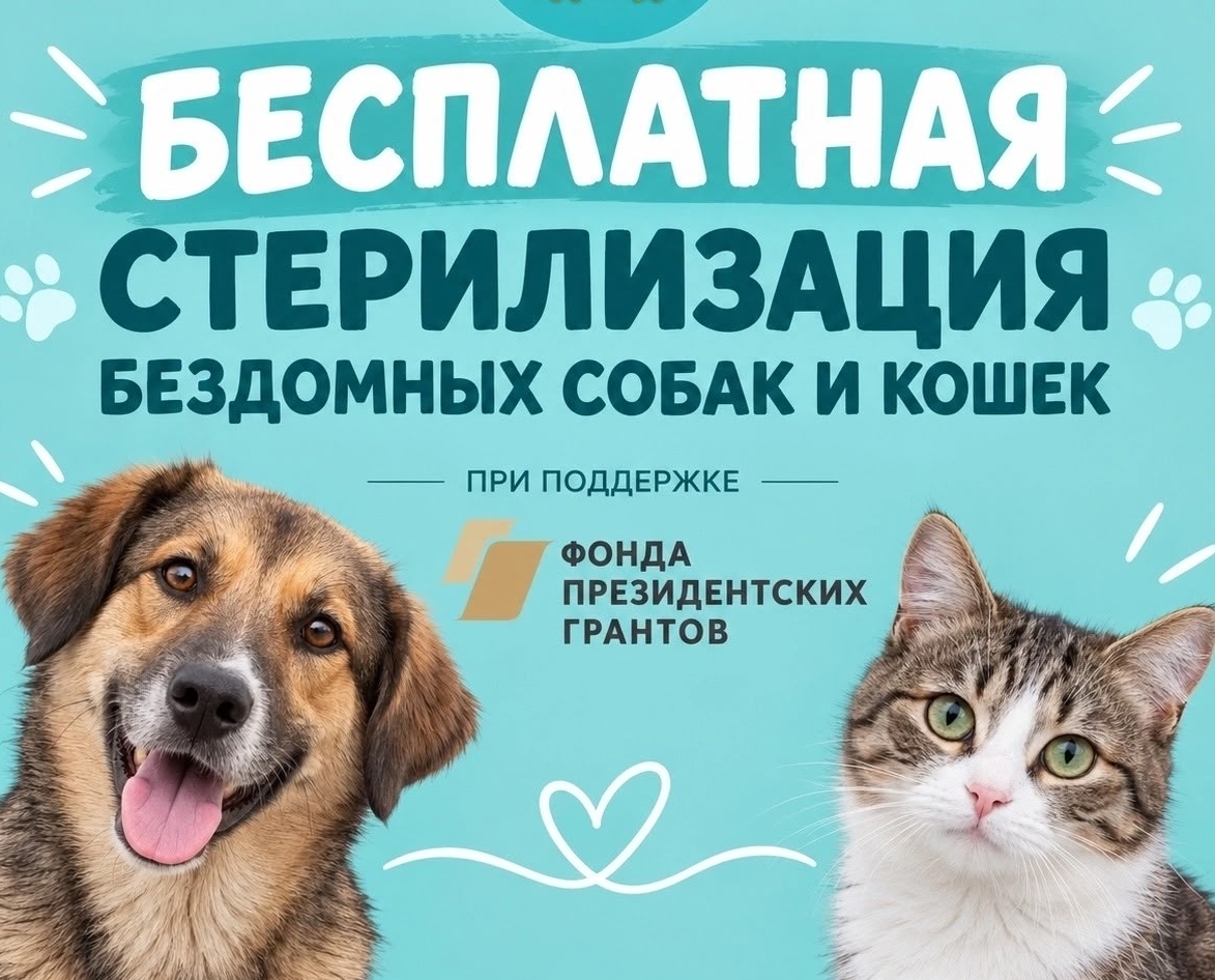 Для кого-то важная информация, поделитесь постом, чтобы больше людей узнали