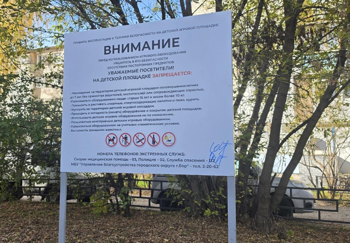 Борчане заметили в разных частях города новые таблички