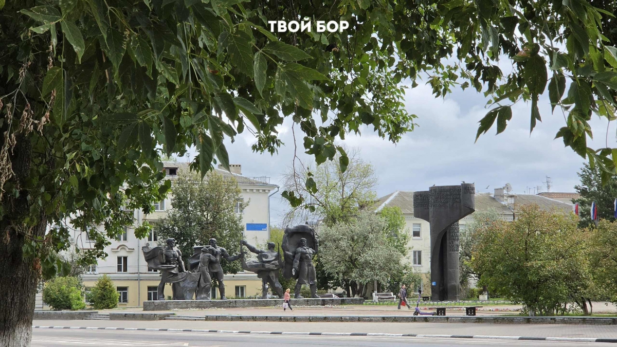 На Бору планируют спилить 14 аварийных деревьев.