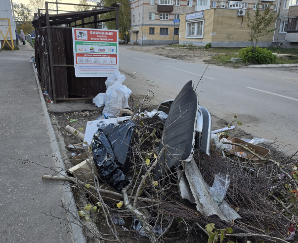 Что делать, если вы стали свидетелем незаконного сброса мусора на Бору?