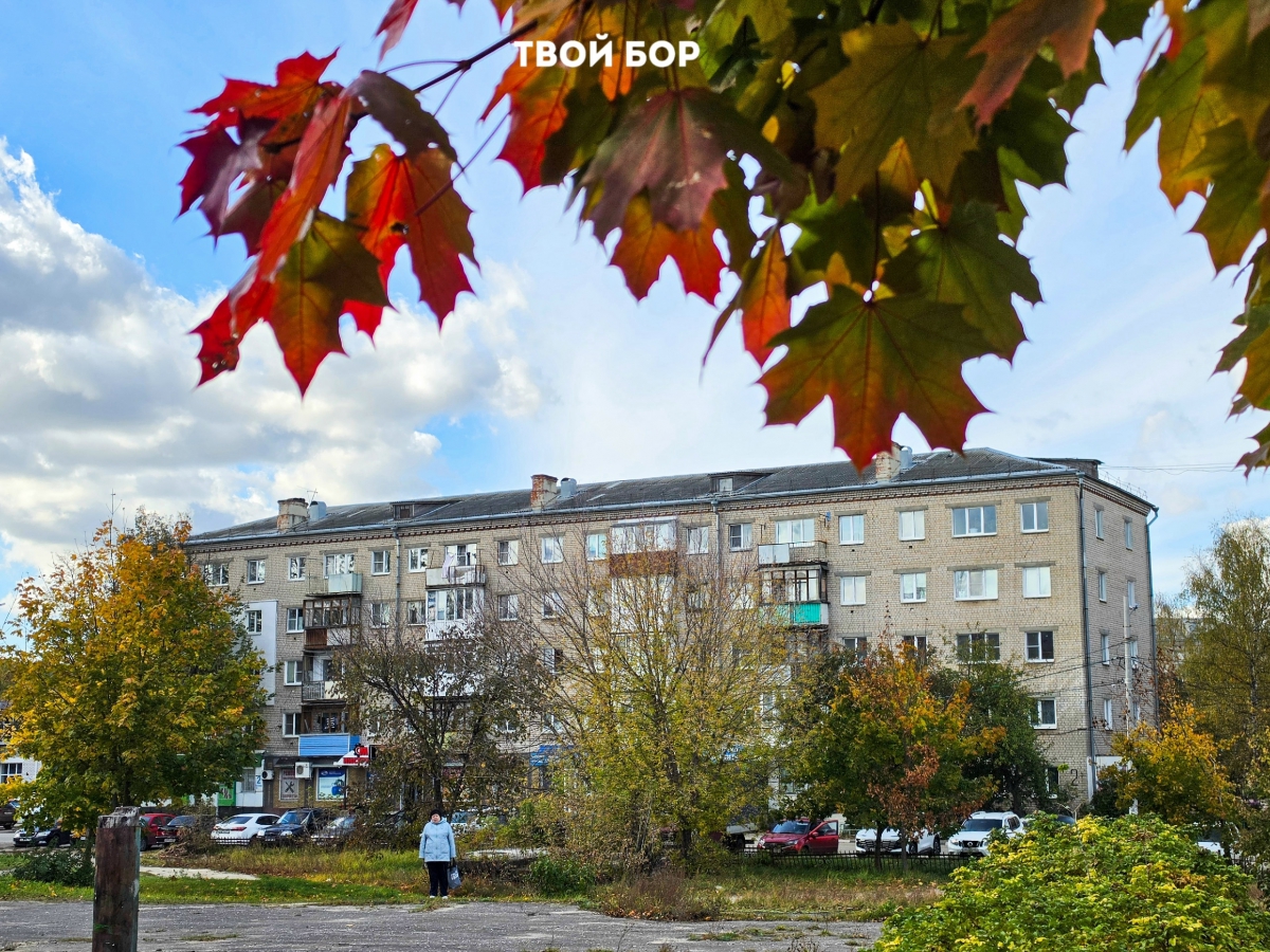 Близится середина октября, а погода на Бору продолжает радовать