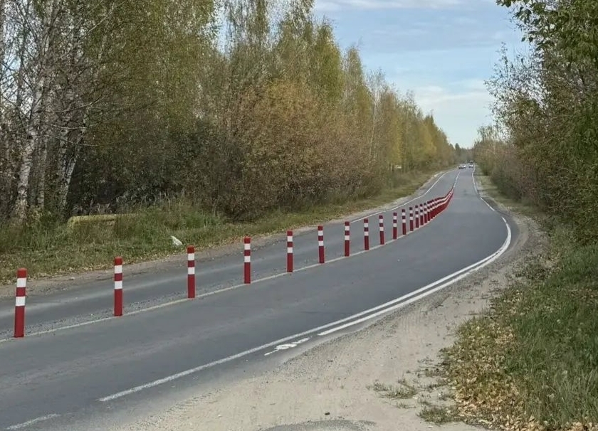 Новые делиниаторы на борских дорогах уже начали терять