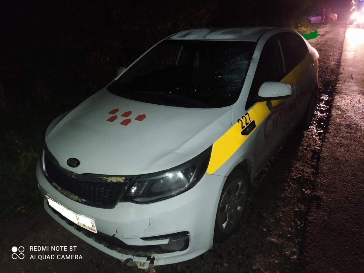 Человек погиб под колесами автомобиля на Бору